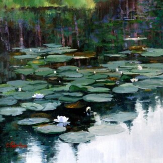 Image of Where Water Dreams by Colin Robertson